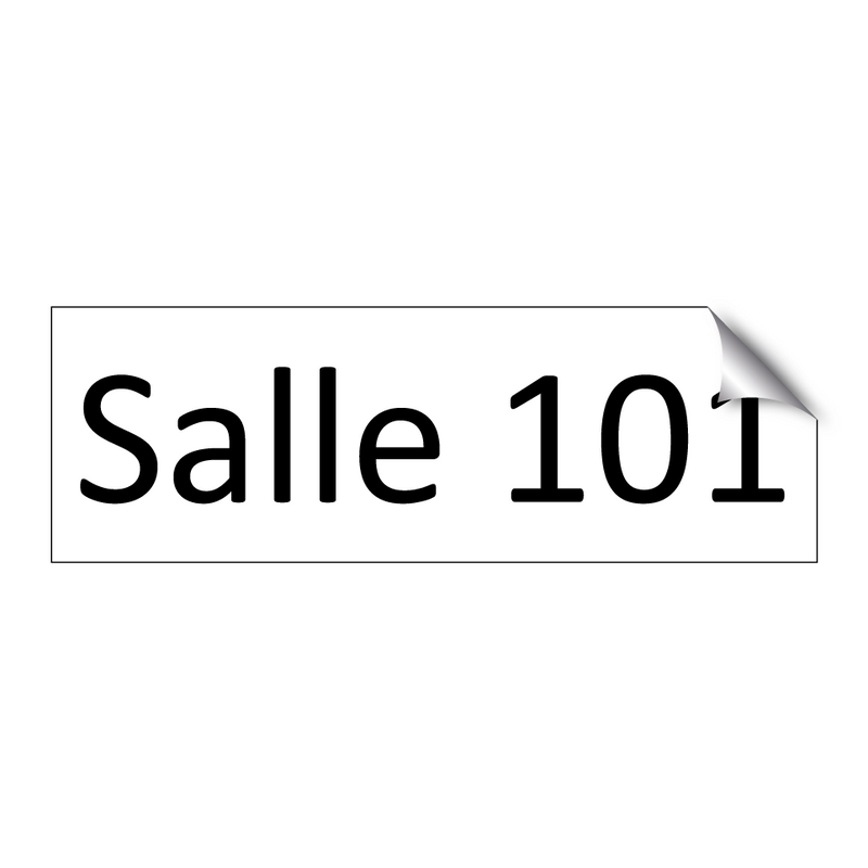 Salle 101