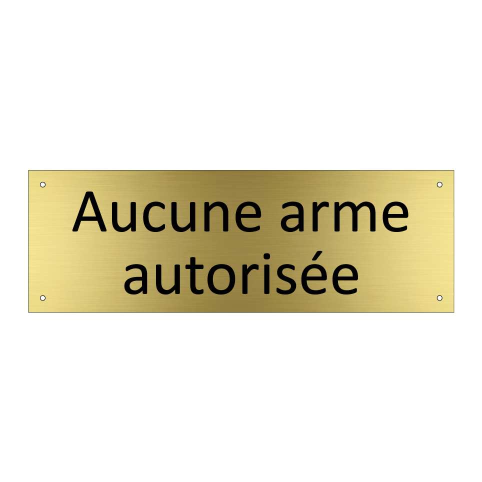 Aucune arme autorisée