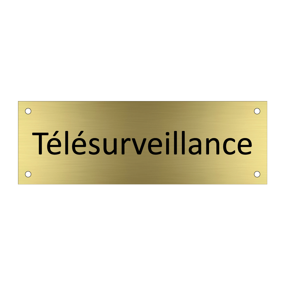 Télésurveillance & Télésurveillance & Télésurveillance