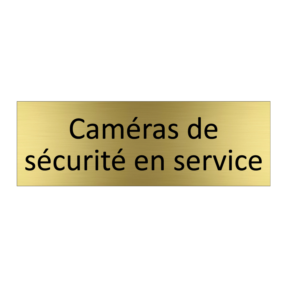 Caméras de sécurité en service