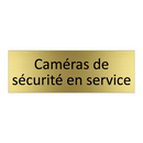 Caméras de sécurité en service