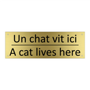 Un chat vit ici - A cat lives here