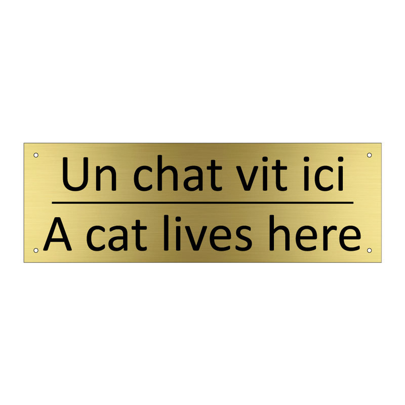 Un chat vit ici - A cat lives here