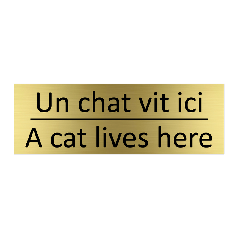 Un chat vit ici - A cat lives here