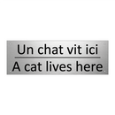 Un chat vit ici - A cat lives here