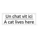 Un chat vit ici - A cat lives here