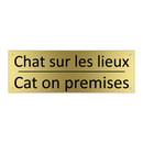 Chat sur les lieux - Cat on premises