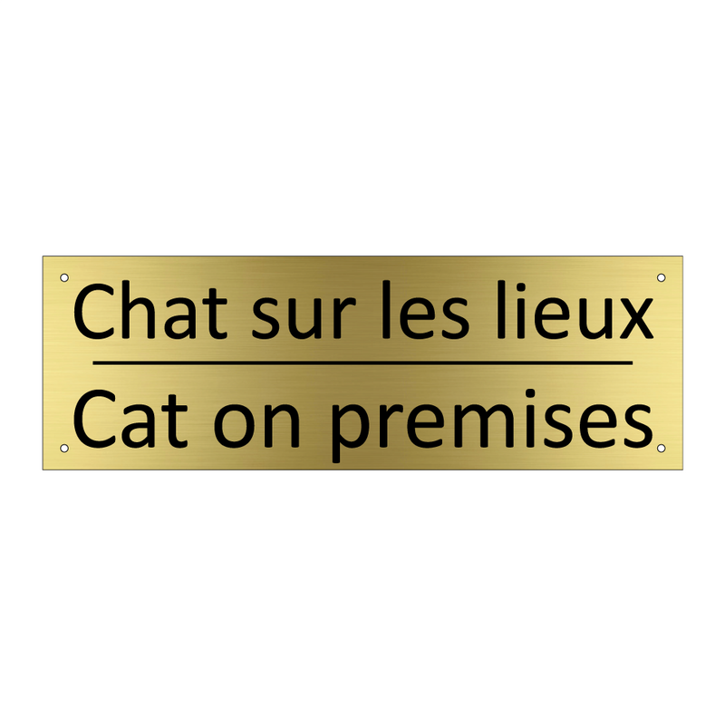 Chat sur les lieux - Cat on premises
