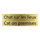Chat sur les lieux - Cat on premises