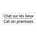 Chat sur les lieux - Cat on premises