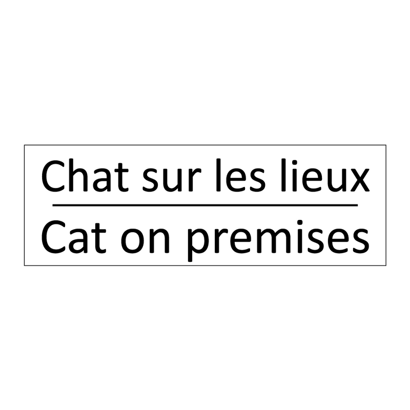 Chat sur les lieux - Cat on premises