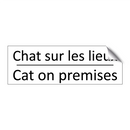 Chat sur les lieux - Cat on premises