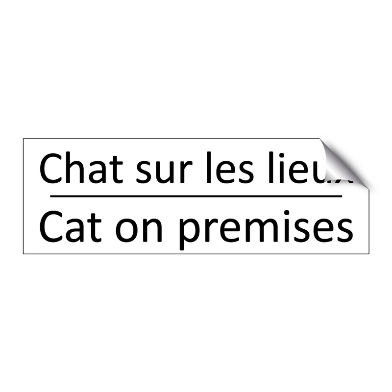 Chat sur les lieux - Cat on premises