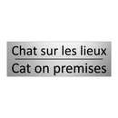 Chat sur les lieux - Cat on premises