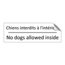 Chiens interdits à l'intérieur - No dogs allowed inside