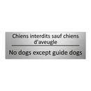 Chiens interdits sauf chiens d'aveugle /.../ - No dogs except guide dogs