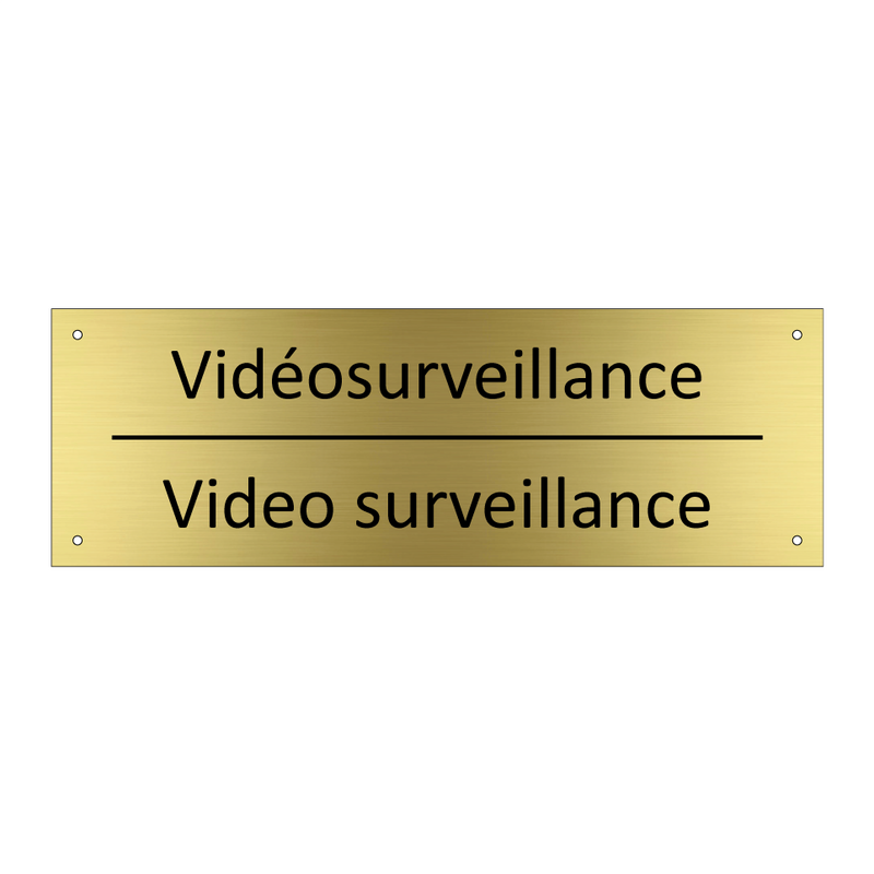 Vidéosurveillance - Video surveillance