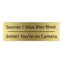 Souriez ! Vous êtes filmé. - Smile! You're on Camera