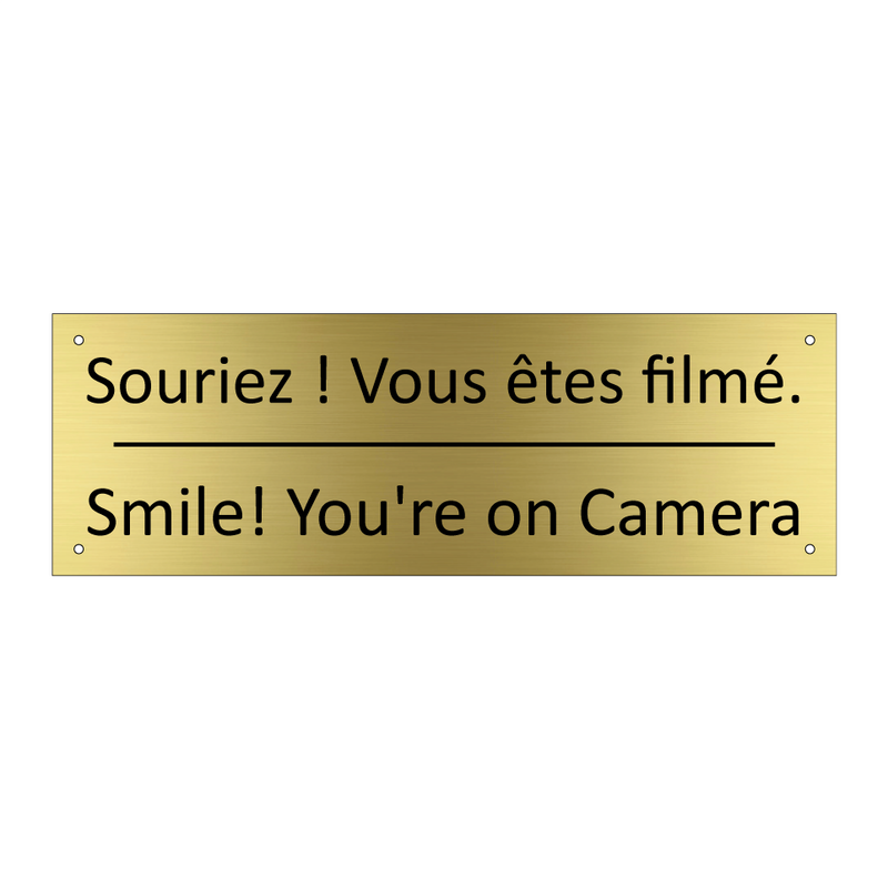 Souriez ! Vous êtes filmé. - Smile! You're on Camera