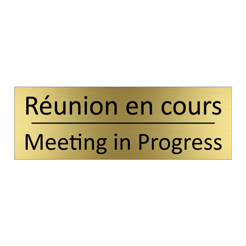 Réunion en cours - Meeting in Progress