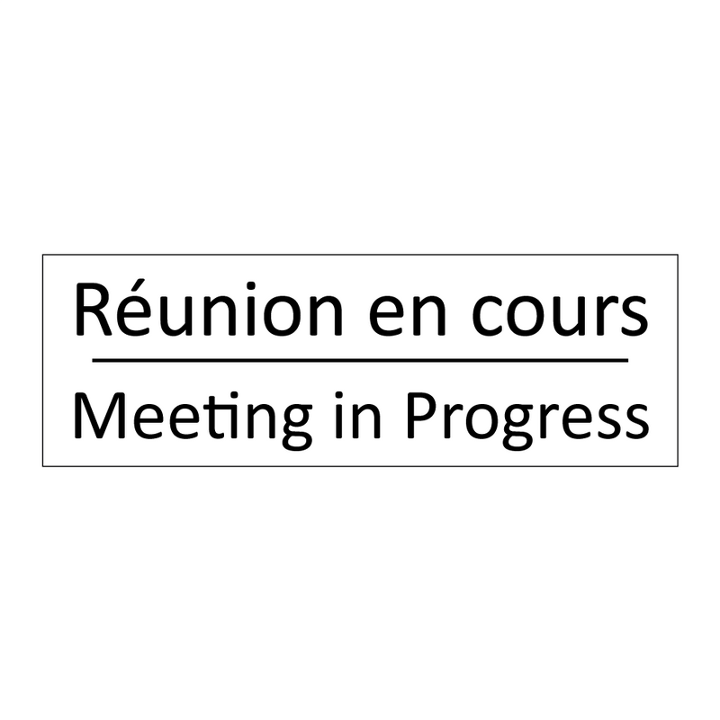 Réunion en cours - Meeting in Progress