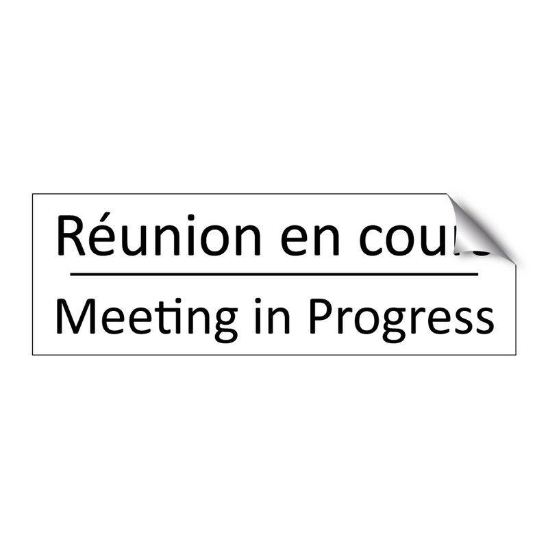 Réunion en cours - Meeting in Progress