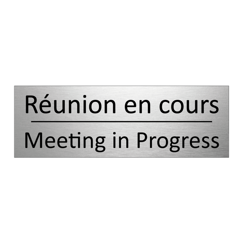Réunion en cours - Meeting in Progress
