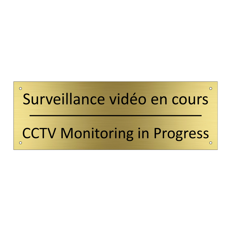 Surveillance vidéo en cours - CCTV Monitoring in Progress