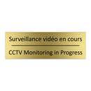 Surveillance vidéo en cours - CCTV Monitoring in Progress