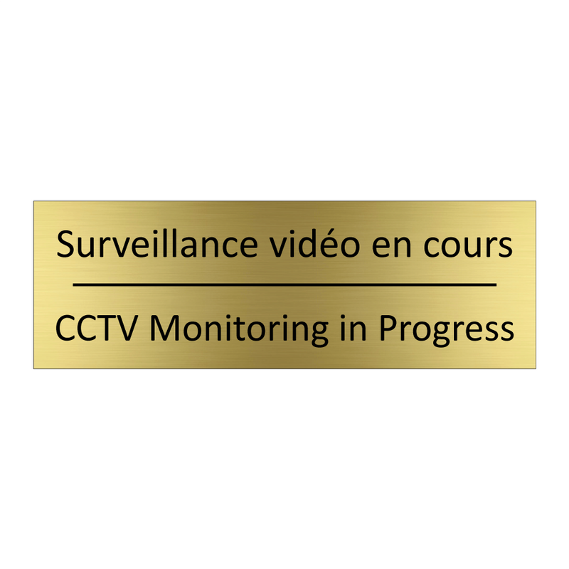 Surveillance vidéo en cours - CCTV Monitoring in Progress
