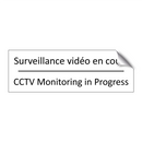 Surveillance vidéo en cours - CCTV Monitoring in Progress