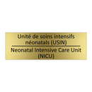 Unité de soins intensifs néonatals  /.../ - Neonatal Intensive Care Unit (NICU) /.../