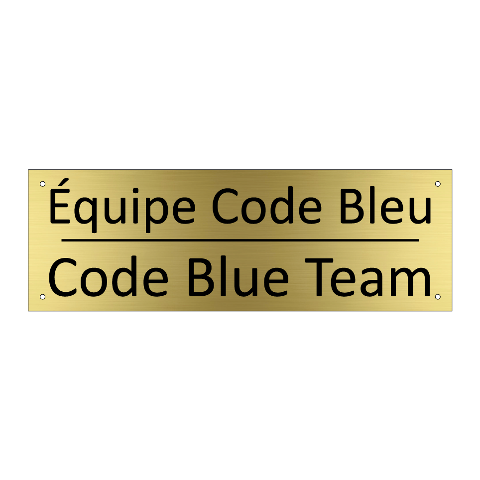 Équipe Code Bleu - Code Blue Team