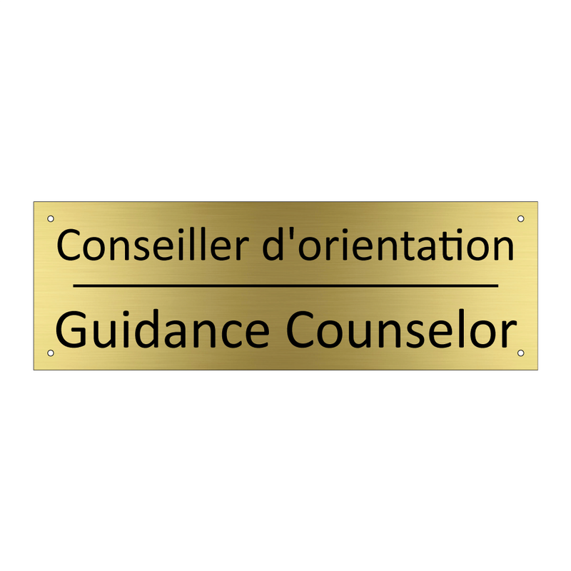 Conseiller d'orientation - Guidance Counselor