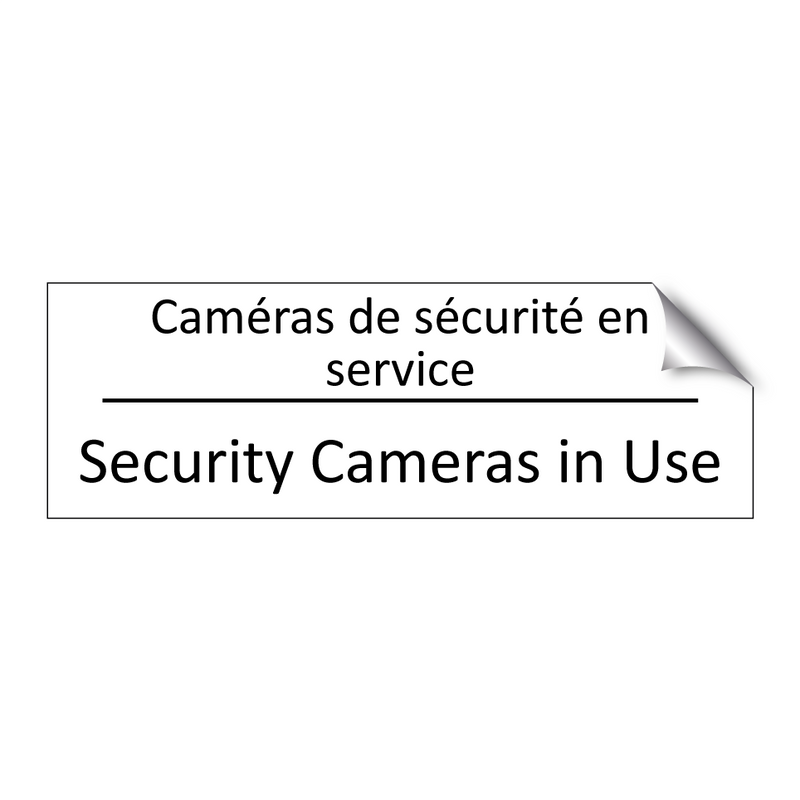 Caméras de sécurité en service - Security Cameras in Use