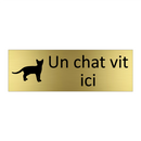 Un chat vit ici