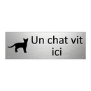 Un chat vit ici