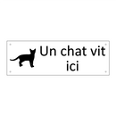 Un chat vit ici