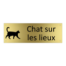 Chat sur les lieux