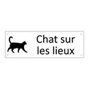 Chat sur les lieux