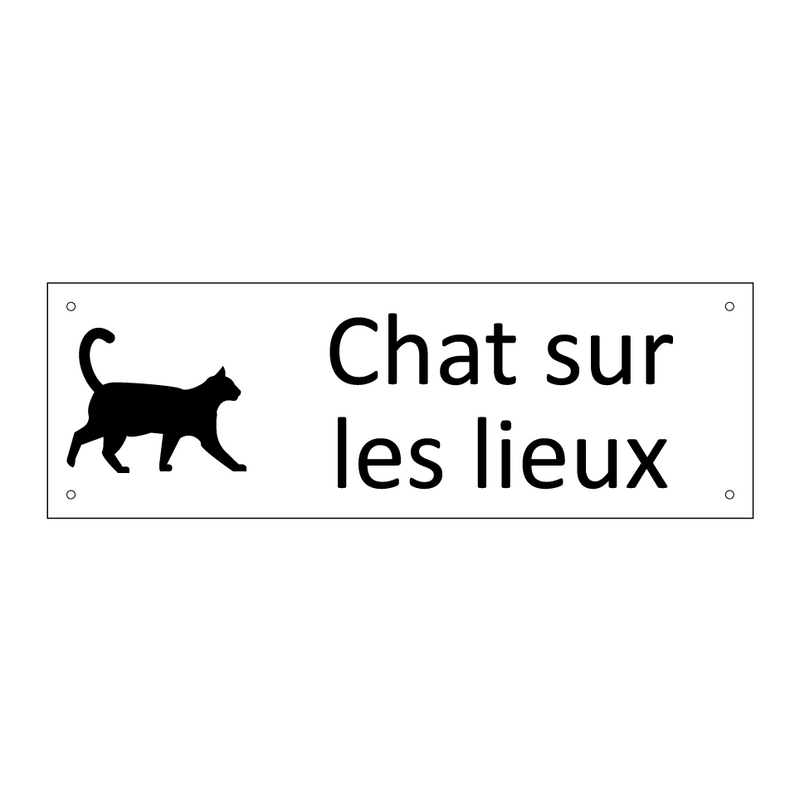 Chat sur les lieux