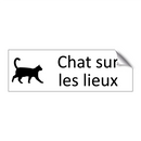 Chat sur les lieux