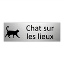 Chat sur les lieux