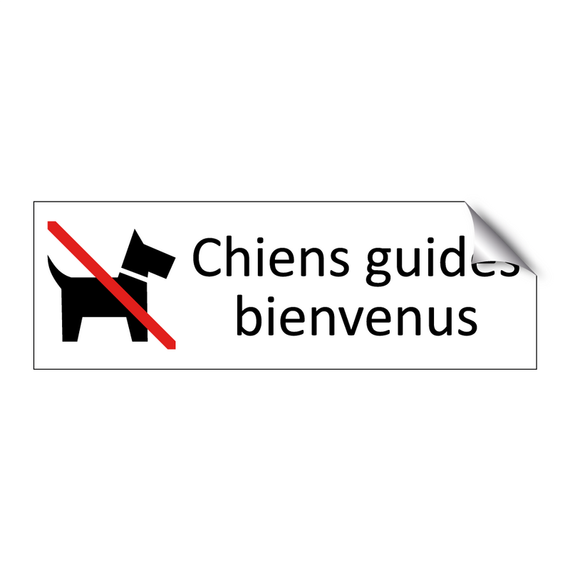 Chiens guides bienvenus