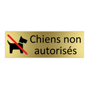 Chiens non autorisés