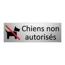Chiens non autorisés