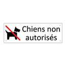 Chiens non autorisés