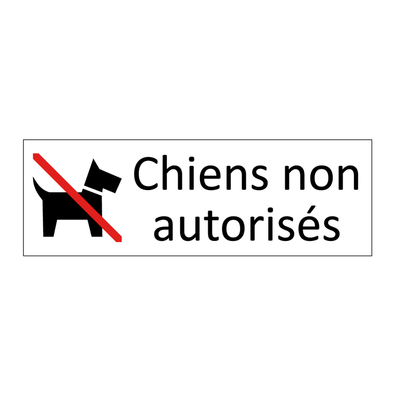 Chiens non autorisés