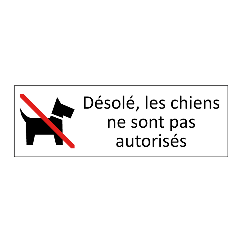 Désolé, les chiens ne sont pas autorisés