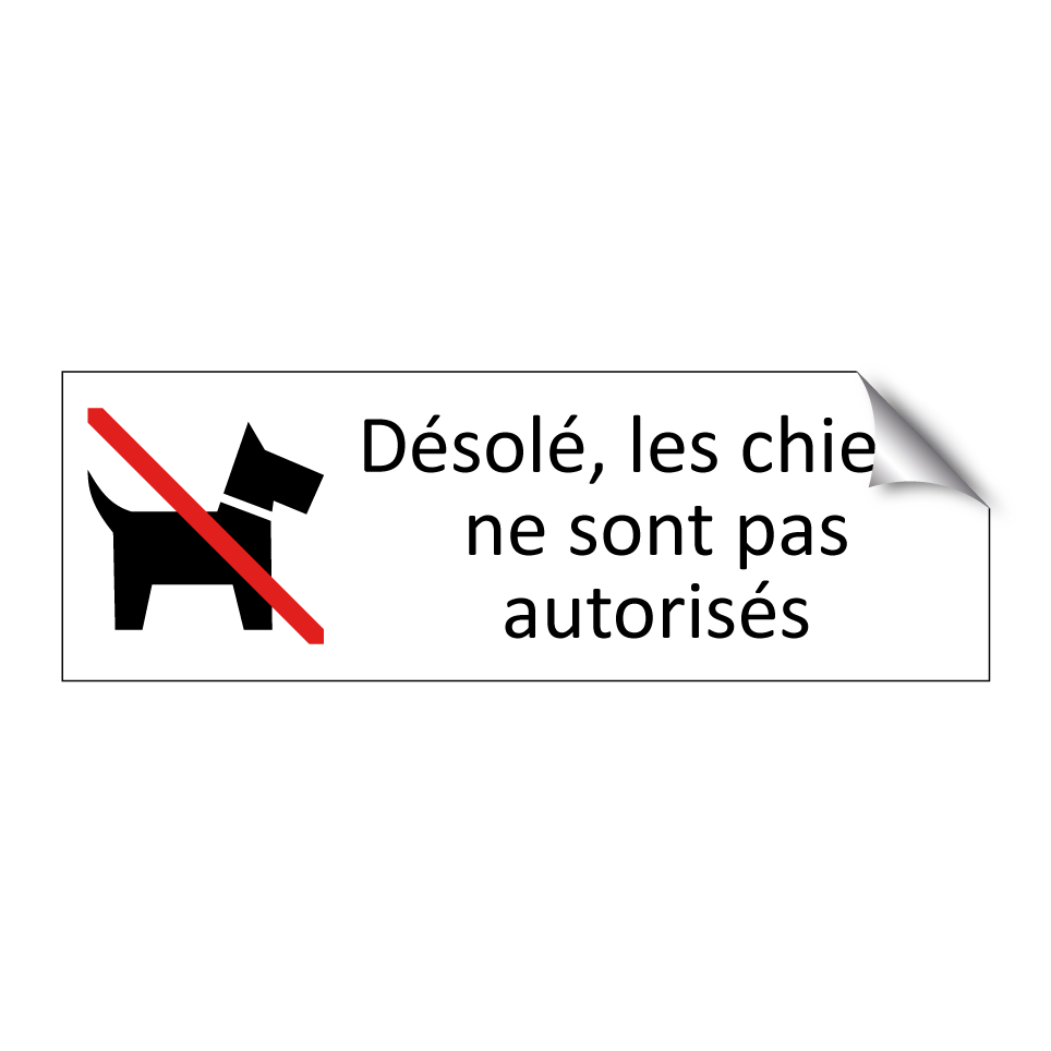 Désolé, les chiens ne sont pas autorisés